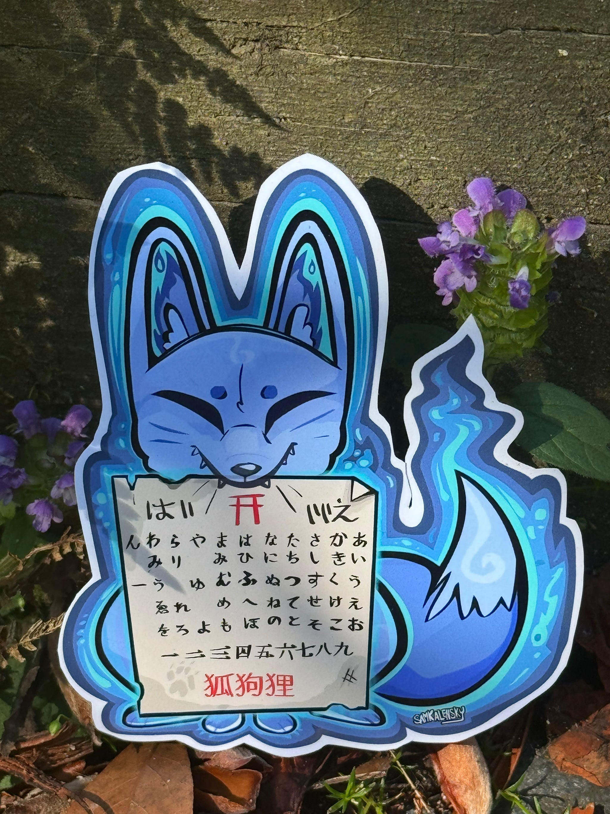 希少 ル−マニア産ヨ−ロッパミヤマ♂野外標本