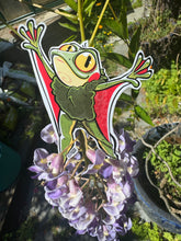 Load image into Gallery viewer, Smeet Frog - [Fearsome Critter]