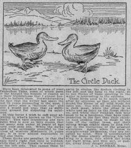 The Circle Duck. - [Fearsome Critter] - aka "Ducken"