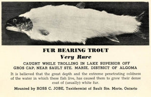 Fur bearing trout - [Fearsome Critter]
