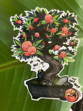 Load image into Gallery viewer, Jinmenju - 人面樹 - &quot;human face tree&quot; - [yokai bonsai]