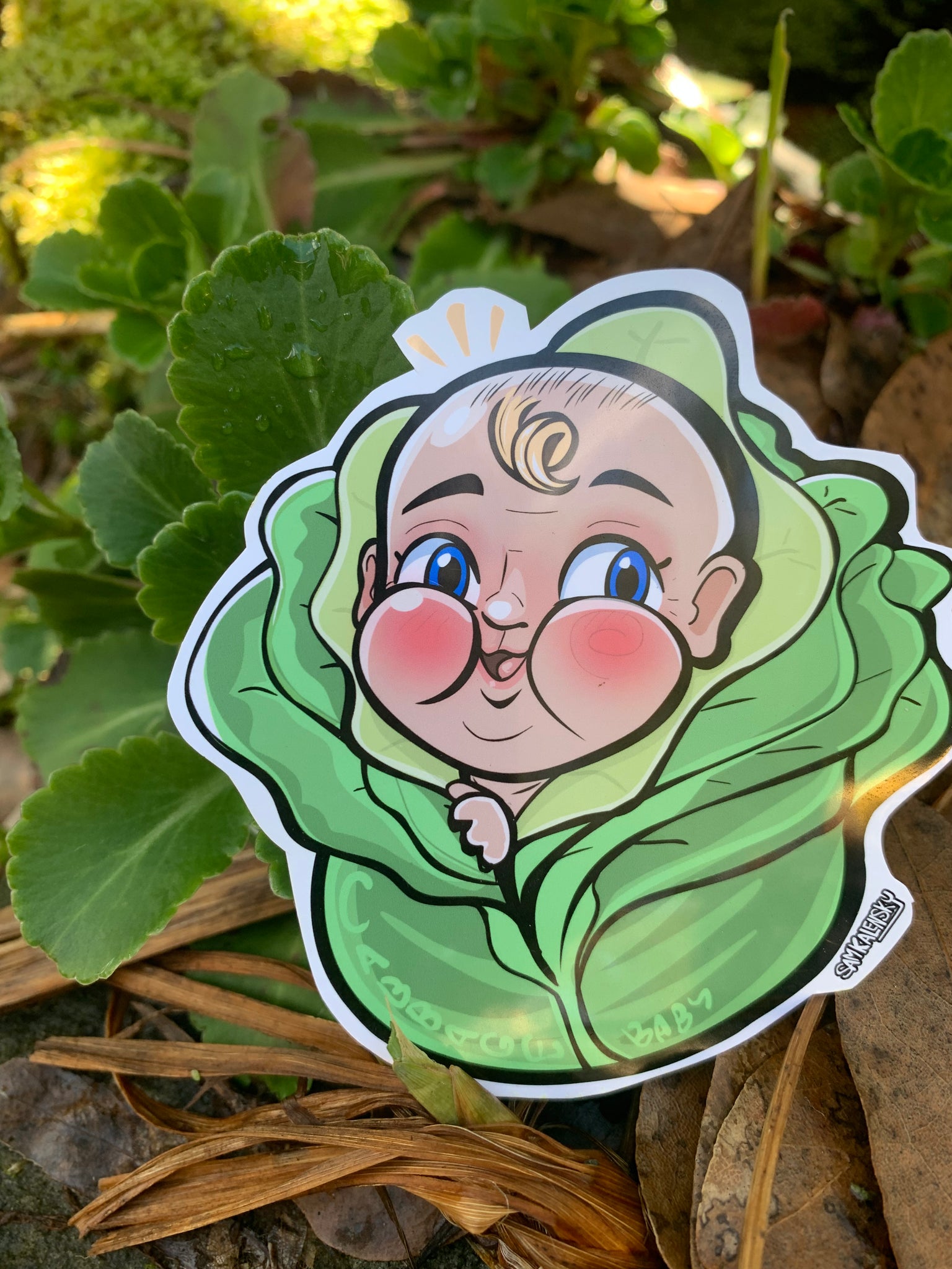 Babies come from cabbage patch shop