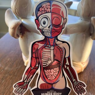 JintaiMokei - 人体模型 - [Urban legend|Yokai]